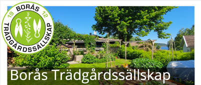 Denna bild har ett alt-attribut som är tomt. Dess filnamn är image-1.png